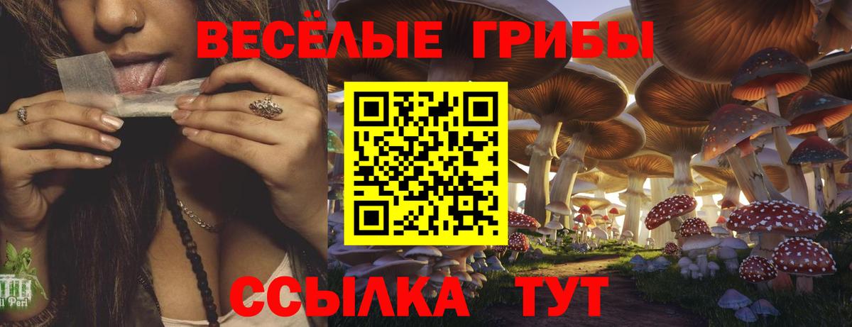 Псилоцибиновые грибы ЛСД Прохладный
